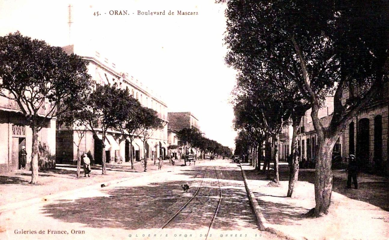 Oran - Boulevard de Mascara.jpg